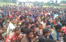 Kontak Senjata di Puncak Papua Tengah Picu Trauma Mendalam dan Gelombang Pengungsian Warga