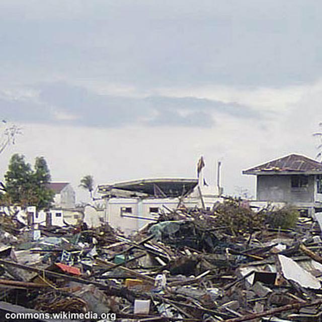 Kisah Tsunami Aceh Saat Hewan Hewan Panik Sebelum Air Menerjang News Liputan6 Com