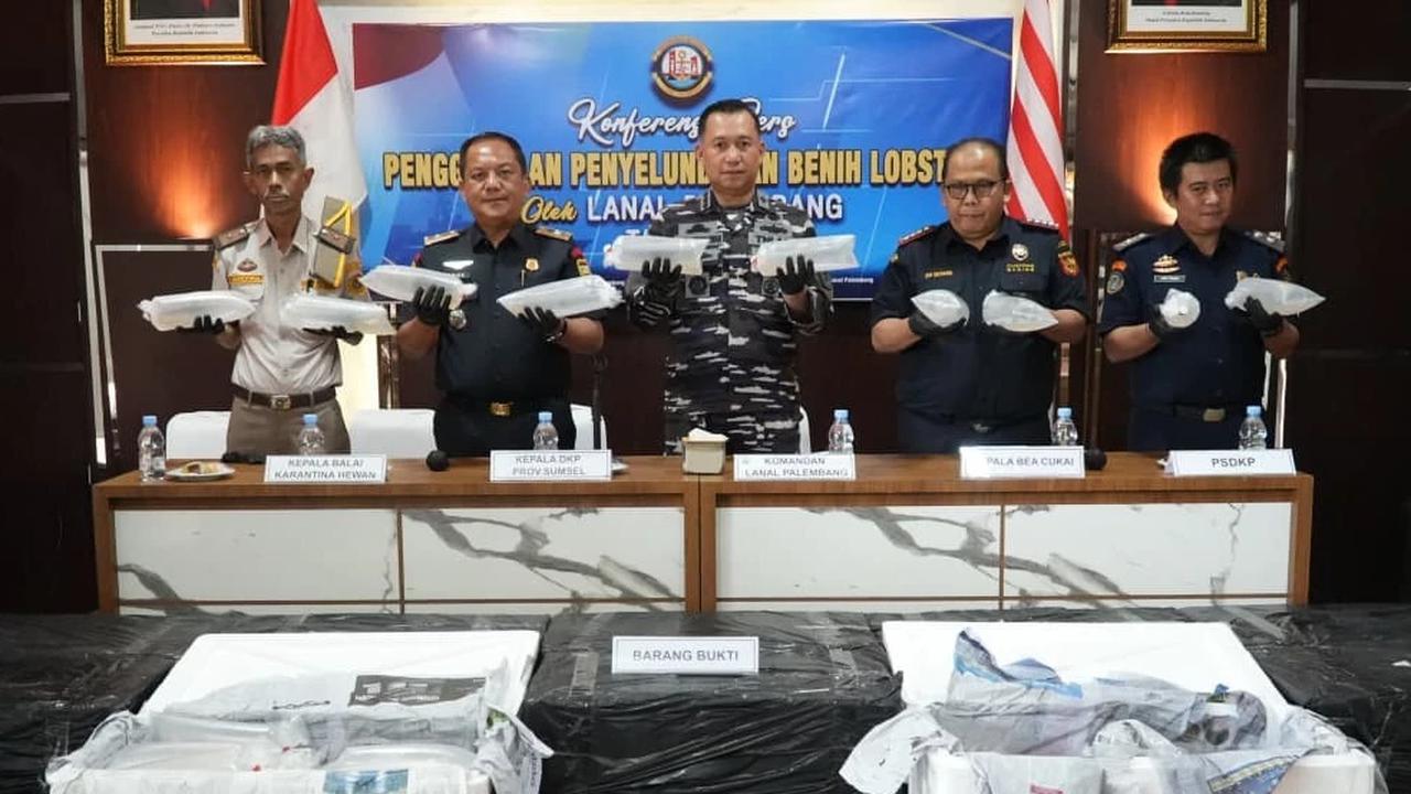 FOTO: TNI AL Gagalkan Penyelundupan Benih Lobster di Perairan Jambi