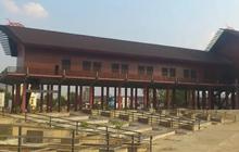 Melihat Rumah Radakng Pontianak, Desainnya Unik Disebut Rumah Adat Terbesar di Indonesia