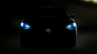 (mgmotor.id)