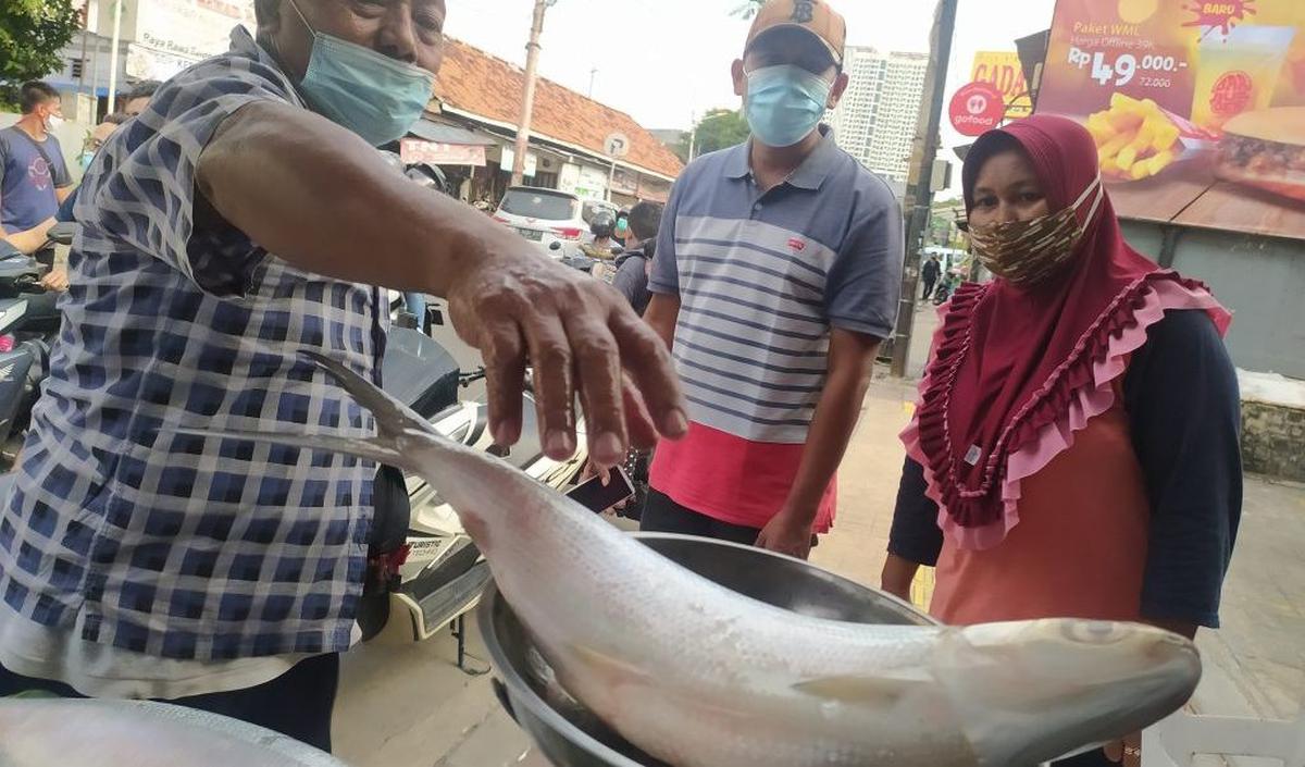 Bandengnya Berukuran Besar