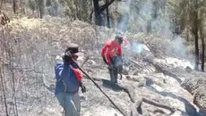 Kebakaran Gunung Arjuno Meluas