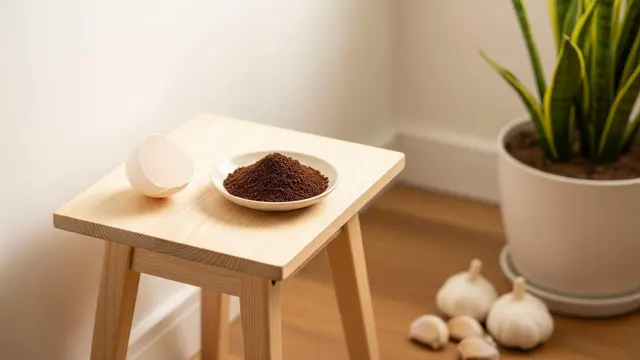 Cara Membuat Ruangan Rumah Kurang Menarik bagi Cicak