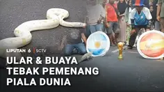 Tebak Pemenang Piala Dunia 2026 dengan Buaya