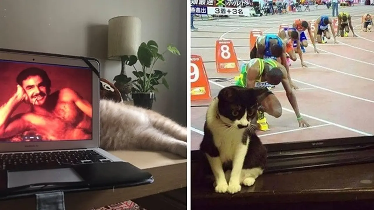 Berkat Timing yang Pas, 7 Foto Ini Terlihat Menarik Banget