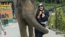 <p>Ekspresi takut Paula Verhoeven saat tubuhnya dililit belalai gajah. (Foto: Instagram/ baimwong)</p>