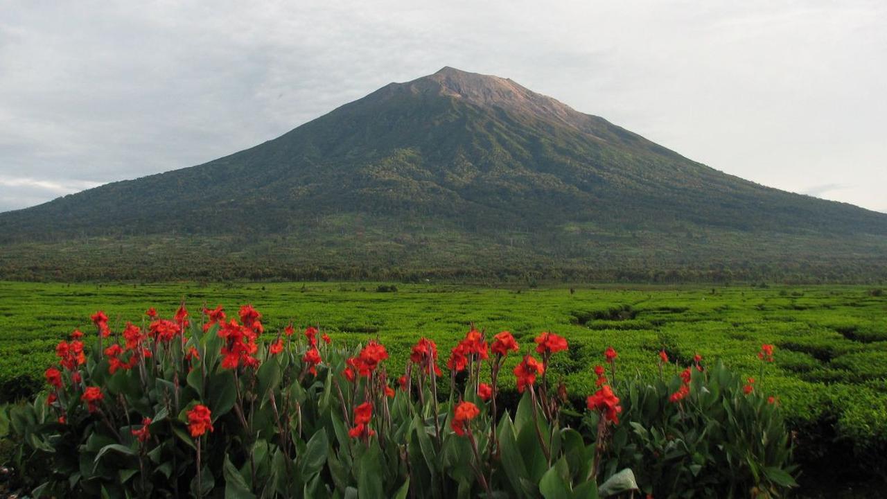 7. Gunung Kerinci (3.805 mdpl)