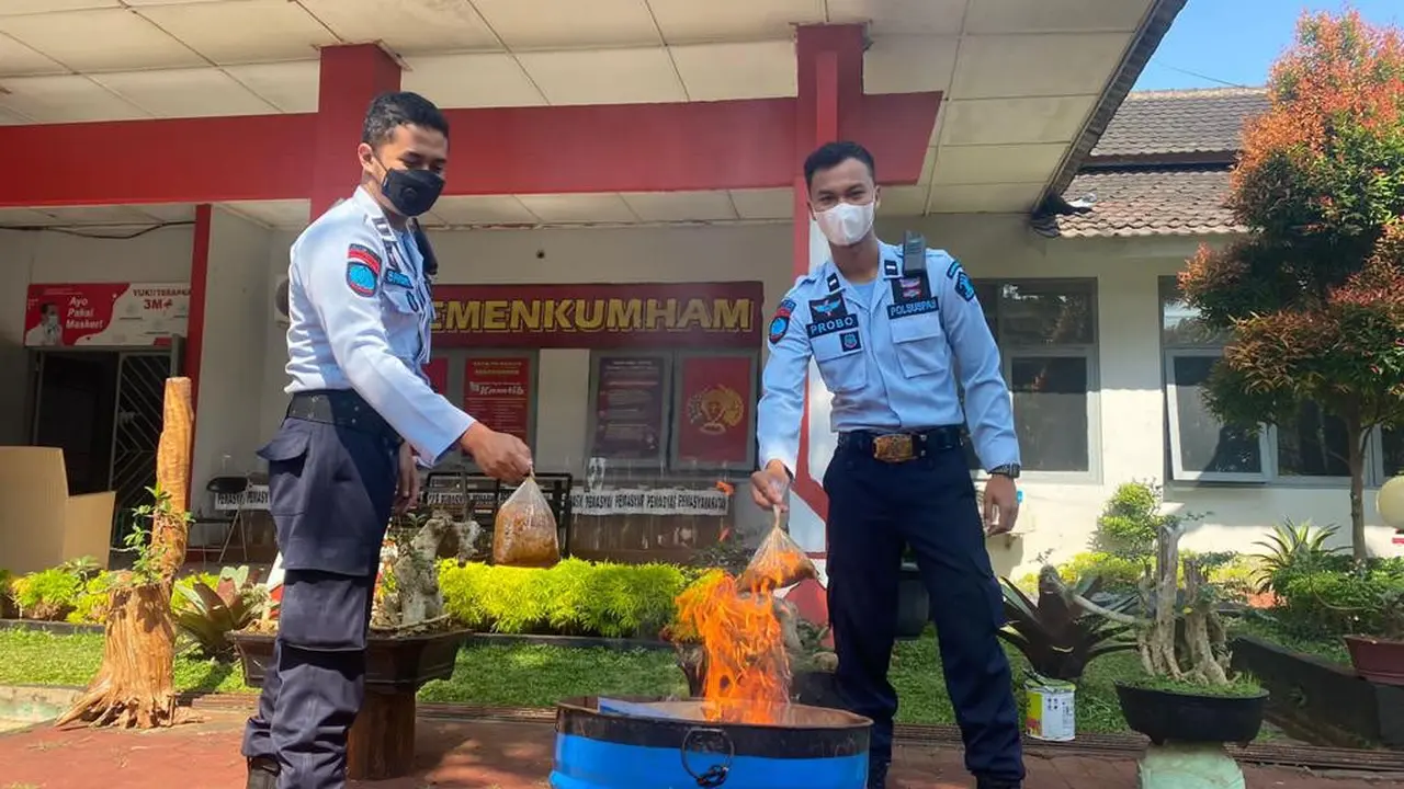 Suasana Pemusnaahan