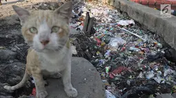 Sampah berserakan di sekitar pintu air Kali Item, Kemayoran, Jakarta, Selasa (2/10). Tidak tersedianya tempat pembuangan menyebabkan warga membuang sampah di lokasi tersebut sehingga menimbulkan bau tidak sedap. (Liputan6.com/Immanuel Antonius)