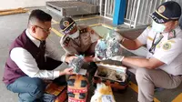 5.250 Benih Sawit Ilegal Disita di Bandara Radin Inten II, Disamarkan Jadi Parcel