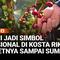 Liputan6.com berkesempatan mengunjungi kebun kopi Hacienda Alsaica di Kosta Rika, Amerika Tengah, sebuah kebun riset yang jadi rujukan dunia berkat penelitian kopinya.