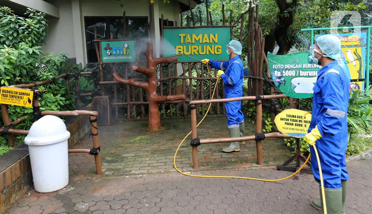 Petugas menyemprotkan cairan disinfektan di area Taman Burung, TMII Jakarta, Rabu (18/3/2020). Penyemprotan dilakukan bukan hanya untuk mencegah penyebaran virus corona tapi juga virus dan bakteri lain. (Liputan6.com/Fery Pradolo)