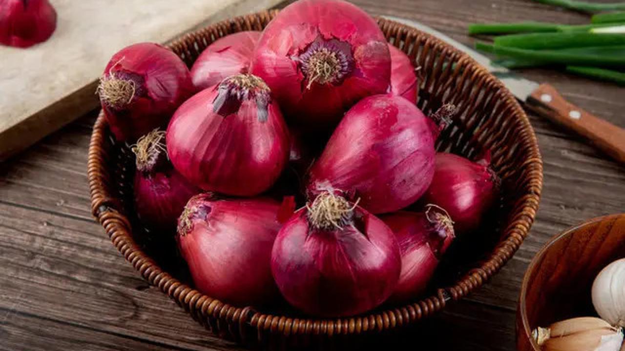 7 Bahan Dapur yang Ampuh untuk Mengusir Ular di Rumah