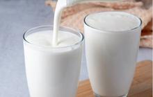 Kebijakan Kemendag Ini Bikin Peternak Sapi Kesulitan Jual Susu