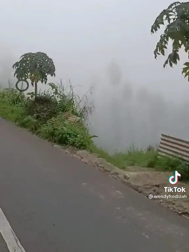 Diarahkan Google Maps Belok Kanan ke Jurang,