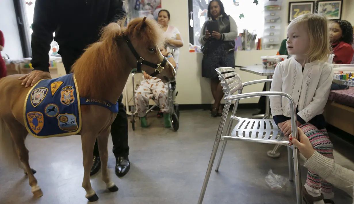 Handler Jorge Garcia - Bengochea memegang kuda poni dari Gentle Carousel Horses Miniatur Therapy saat kunjungan di Rumah Sakit anak Kravis, New York City, (16/3). Kuda ini nantinya akan menghibur para pasien rumah sakit ini. (REUTERS / Mike Segar)