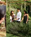 Restoran peraih Michelin Green Star di Phuket, JAMPA, Hadirkan Pengalaman Farm-To-Table dan Sustainable Dining. Dok. JAMPA