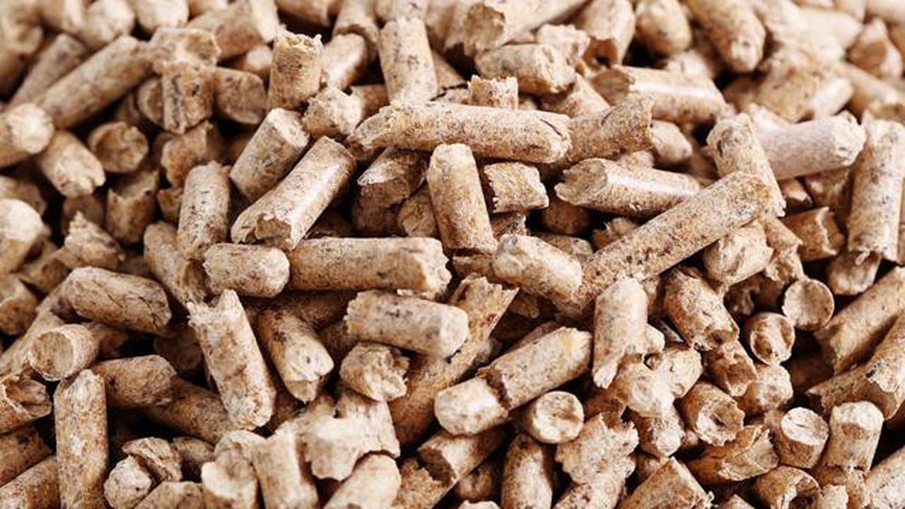 Beri Kepastian untuk Investor, Target 10 Juta Ton Biomassa Didorong agar Bersifat Mandatory