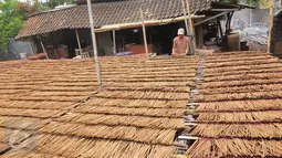 Kumpulan kayu untuk batang hio sedang dijemur, Teluk Naga, Tangerang, Jumat (15/1/2016). Menjelang perayaan tahun baru Cina (Imlek) pesanan hio melonjak drastis hingga 300 persen. (Liputan6.com/Faisal R Syam)