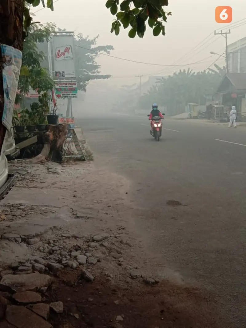 Kabut Asap, Kabut Asap Kalimantan Tengah, Kabut Asap Kalimantan Barat, Kabut Asap Pekanbaru