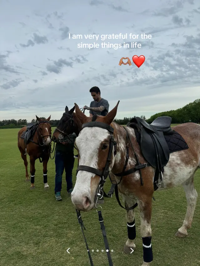 liam payne tiktok