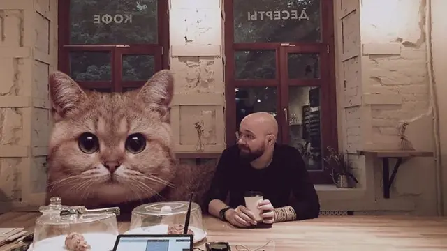 Seniman Kreatif, 8 Foto Seandainya Kucing di Dunia Berukuran Raksasa