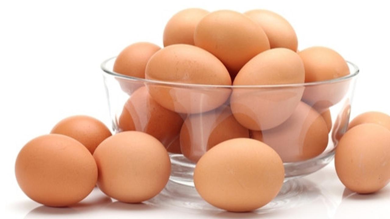 Ilustrasi telur ayam