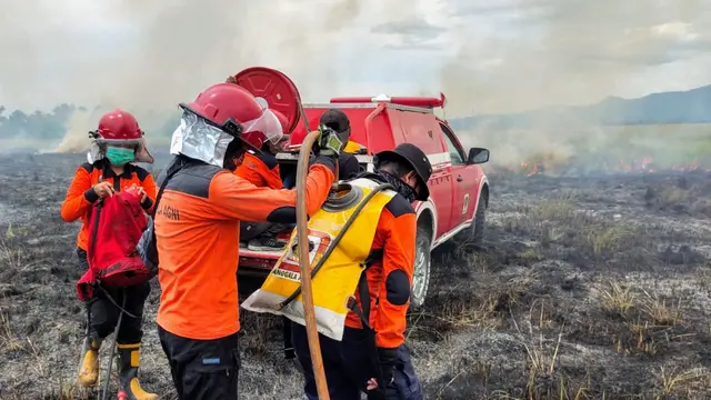 Pemadaman kebakaran hutan di wilayah Taman Nasional Rawa Aopa, Minggu (31/1/2021).(Liputan6.com/Ahmad Akbar Fua)