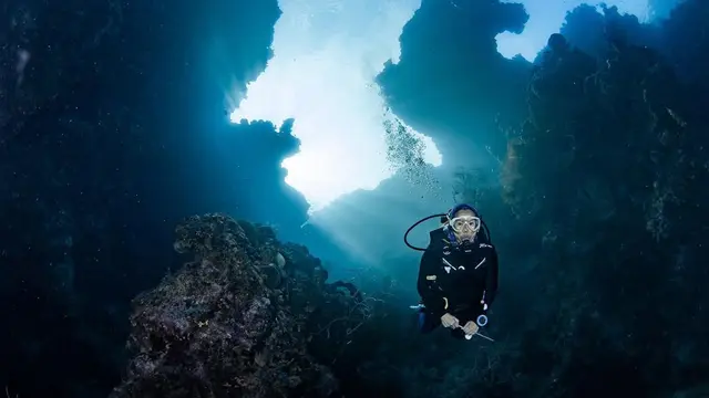 Elsa Laksono Korban Meninggal di Cartensz Juga Seorang Penyelam