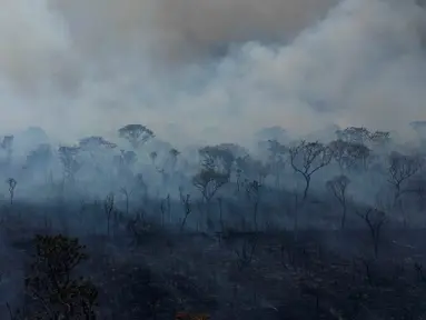 Asap mengepul dari kebakaran di kawasan hutan lindung lingkungan di Taman Nasional Brasilia selama musim kemarau di dekat Brasilia, Brasil, Senin 16 September 2024. (AP Photo/Eraldo Peres)