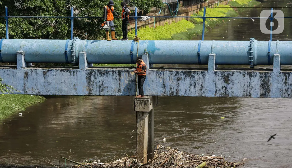 Petugas PPSU membersihkan sampah yang tersangkut di tengah derasnya aliran Kali Ciliwung, Jakarta, Rabu (19/5/2021). Pembersihan tersebut dimaksudkan agar tidak ada penumpukan sampah dan sedimentasi saluran di sepanjang Kali Ciliwung. (Liputan6.com/Faizal Fanani)