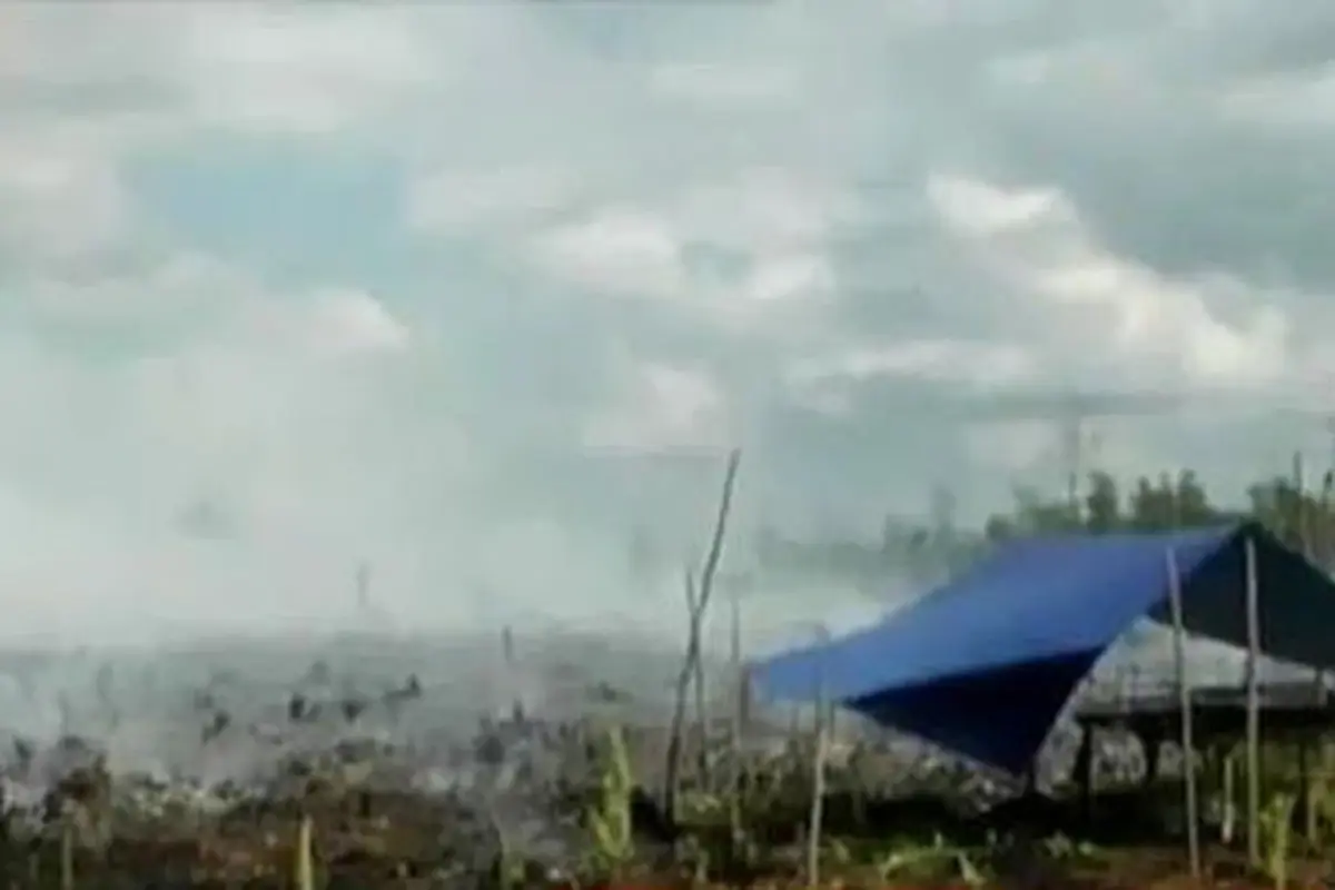 Kebakaran Lahan Gambut