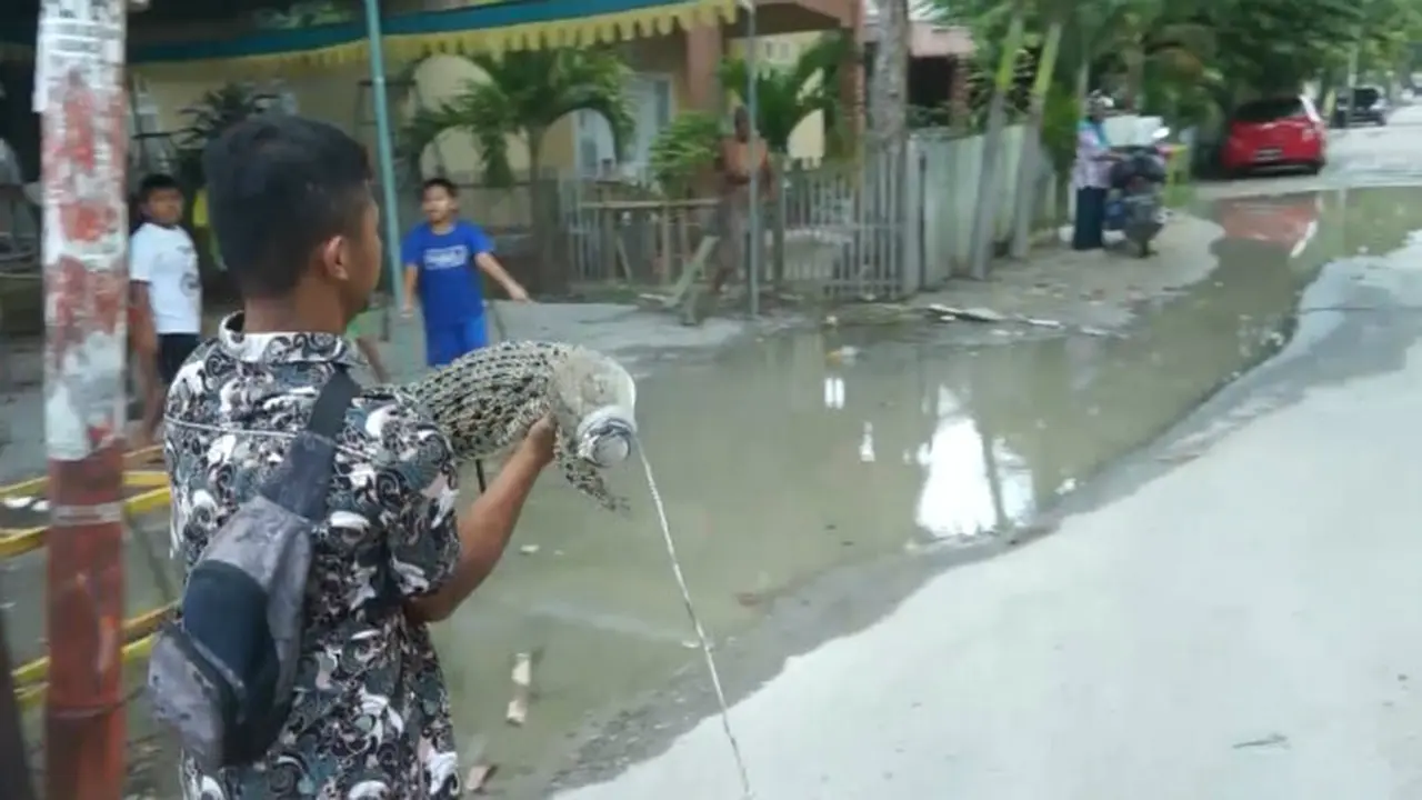 Protes Jalan Rusak, Warga Lepas Buaya di Genangan Air