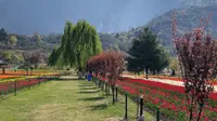 Taman Tulip. (Unsplash/Arif Khan)
