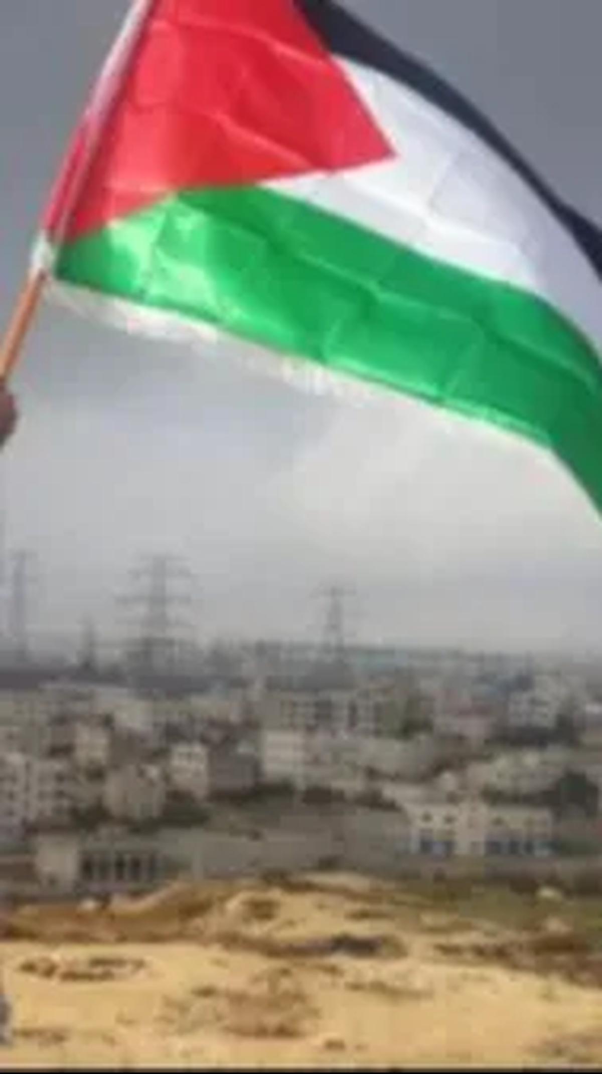Yahudi Ashkenazi Tidak Berhak Klaim Tanah Palestina
