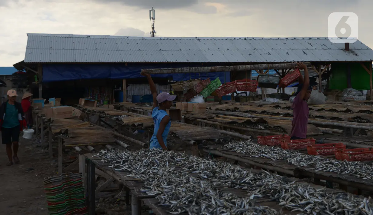 Pekerja menjemur ikan asin di Sentra Pengolahan Ikan Asin Kampung Nelayan Muara Angke, Jakarta, Selasa (16/11/2021). Produksi ikan asin mengalami harga stabil saat pandemi Covid-19 di level 1 dengan harga jual kisaran Rp 38 ribu per kilogram meski cuaca kurang baik. (merdeka.com/Imam Buhori)