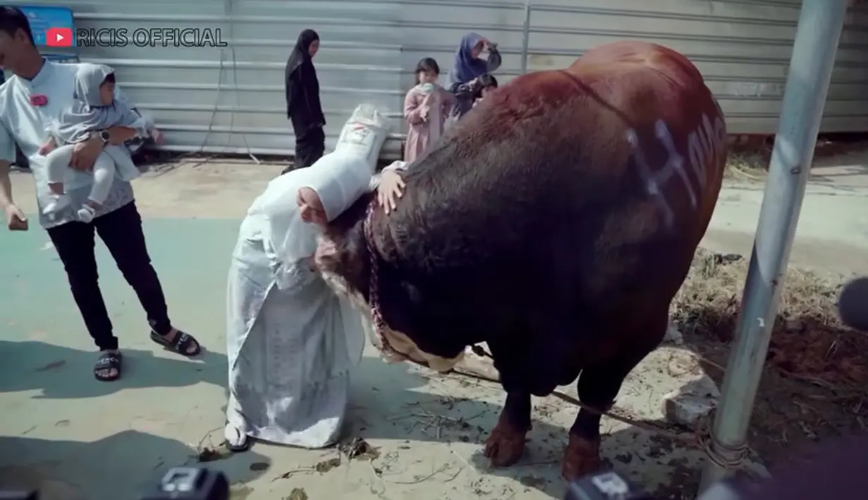Seakan mengerti diajak bicara sapi tersebut juga terlihat luluh saat Ria Ricis didekatnya. Ricis tampak menempelkan kepalanya di kepala sapinya. [Youtube/Ricis Official]
