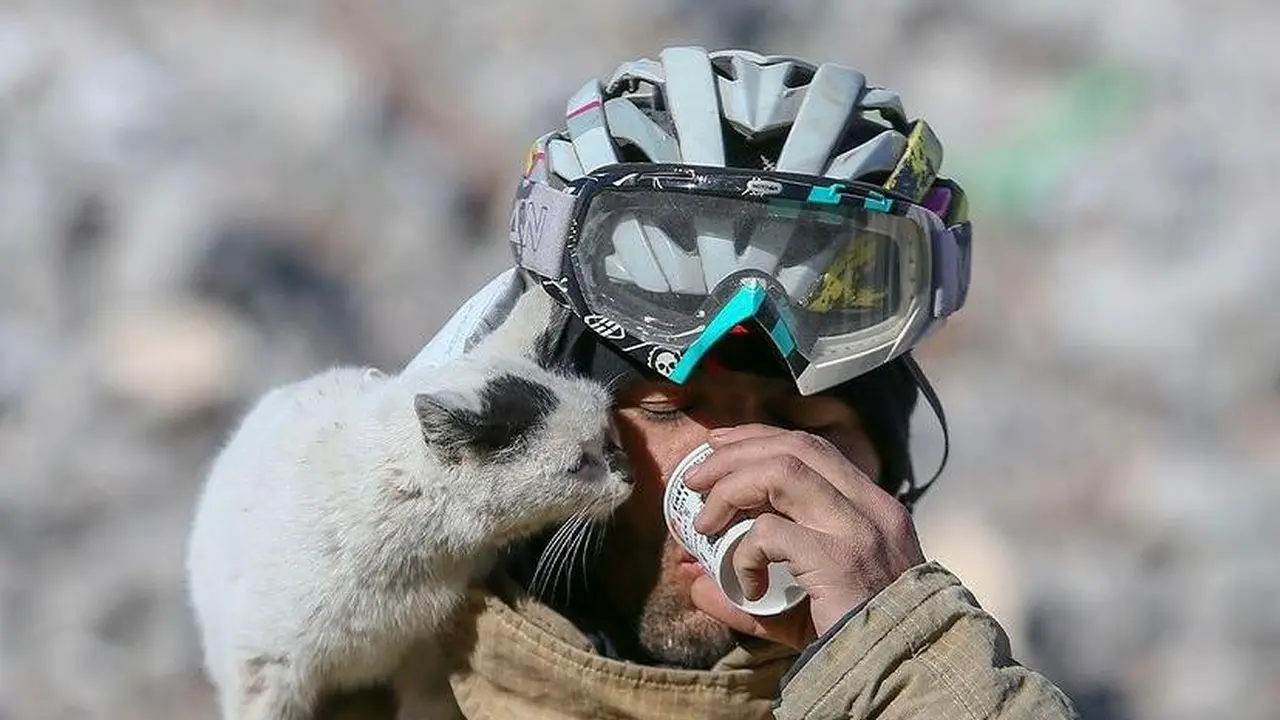 Enkaz, kucing yang diselamatkan oleh seorang pemadam kebakaran dari reruntuhan bangunan di Turki. (Dok: Instagram/TRTWorld)