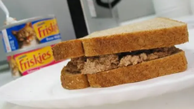 Foto: copyright oddee.com