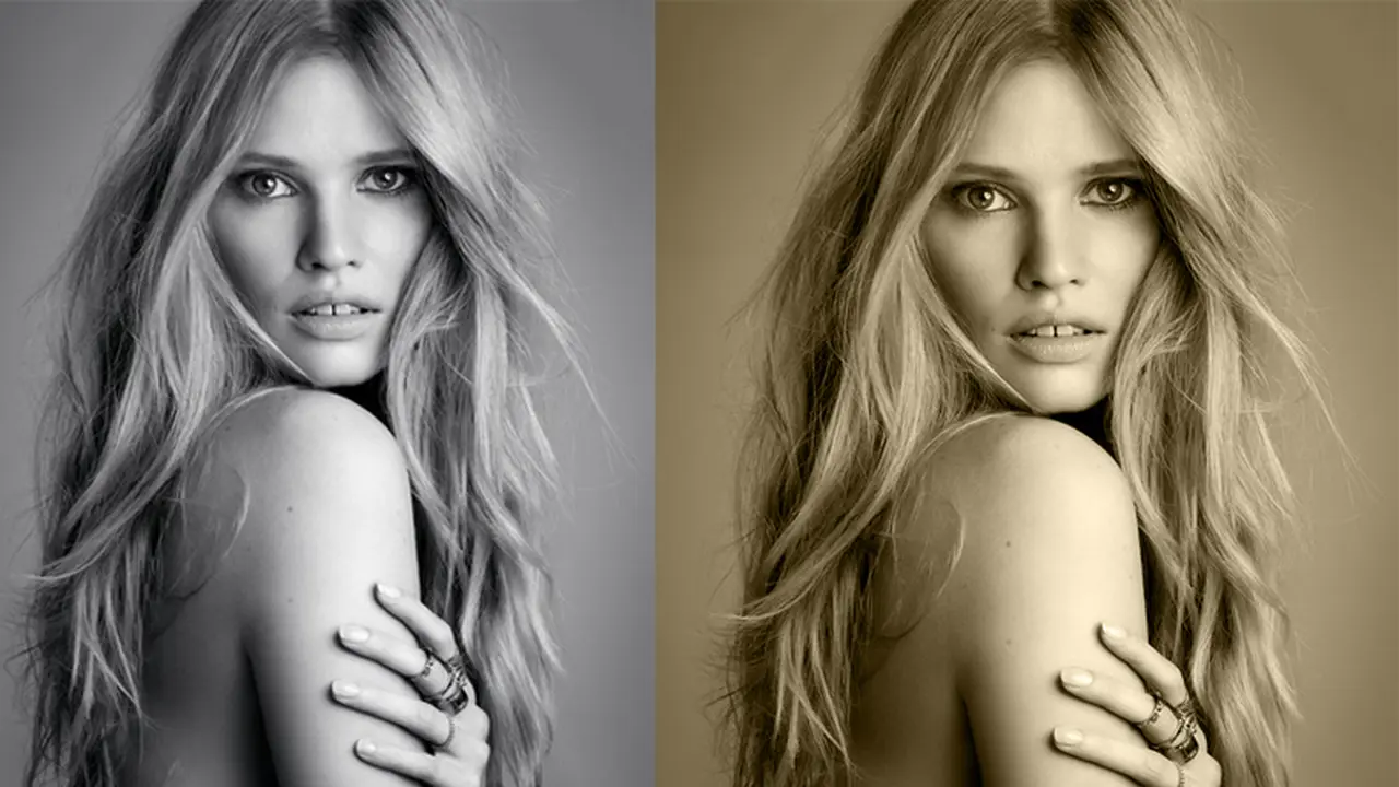 Lara Stone 