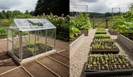Greenhouse Mini vs Menyemai Tanpa Penutup, Mana Lebih Efektif?