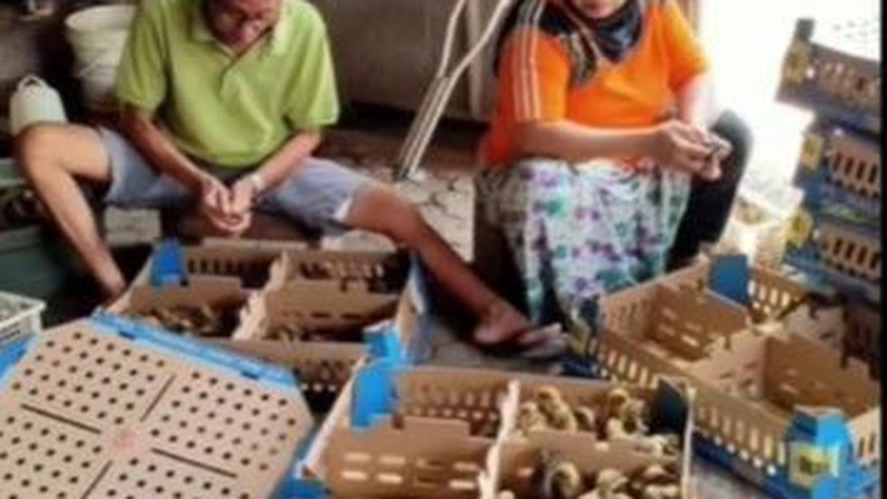 Meski orang tuanya harus banting tulang dengan menjual ayam, namun sang putra satu-satunya dari empat bersaudara itu harus bisa melampaui pencapaian orang tuanya. Berkat doa orang tua dan keluarga, ia berhasil menggapai mimpi menjadi Perwira Polri.