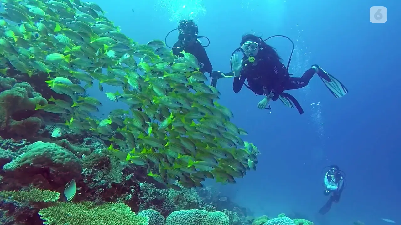Mios Kun Raja Ampat