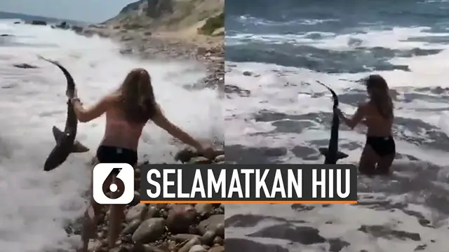 Beredar video aksi wanita selamatkan hiu kecil yang terdampar di pantai. Kemudian wanita itu melepaskannya kembali ke arah laut.