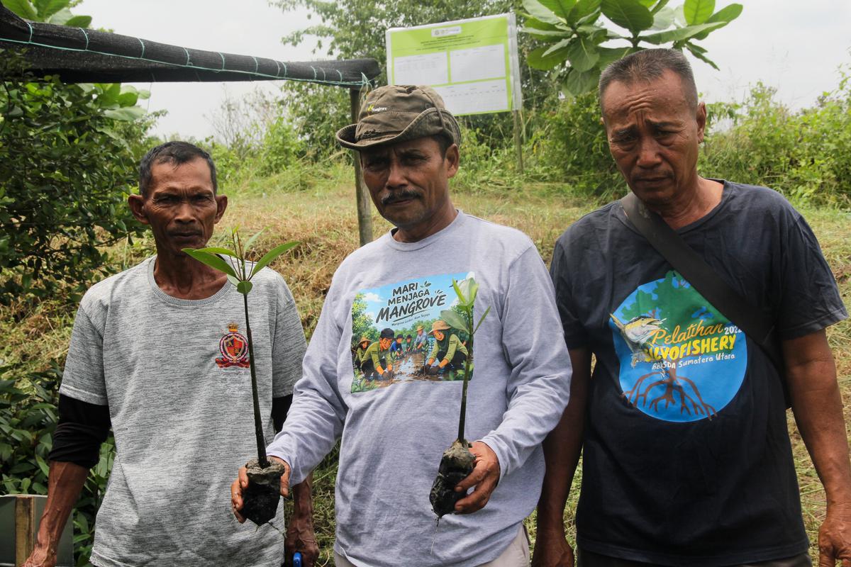 Hutan Mangrove di SM Karang Gading Langkat Timur Laut. (merdekac.com/uga andriansyah).