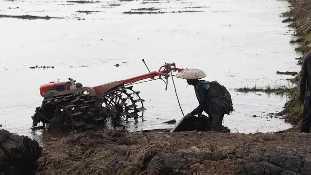Pakar Ungkap Cetak Sawah Sebagai Langkah Cerdas untuk Kemandirian Pangan