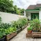 7 Ide Kebun Sayur untuk Rumah Kontrakan yang Tidak Boleh Dibongkar, Mudah Dibuat