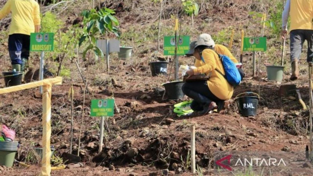 Dishut Kalsel Perkuat Pengawasan Usaha Kehutanan Melalui Pemutakhiran Data