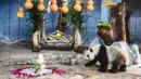 Panda raksasa bernama Gonggong bersiap untuk menikmati makanan di Taman Margasatwa dan Kebun Raya Tropis Hainan di Haikou, Provinsi Hainan, China selatan, pada 27 Agustus 2020. Taman tersebut mengadakan perayaan ulang tahun ketujuh untuk dua panda raksasa pada Kamis (27/8). (Xinhua/Pu Xiaoxu)